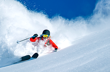 Skis  Shop your ski gear online, winter sale